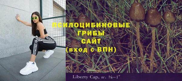 бошки Абаза