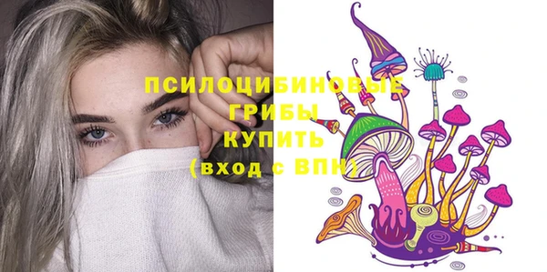 бошки Алексеевка
