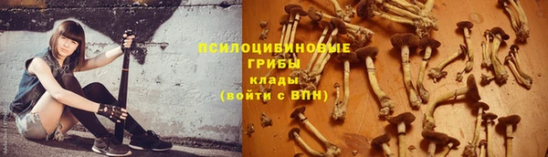шишки Алексин