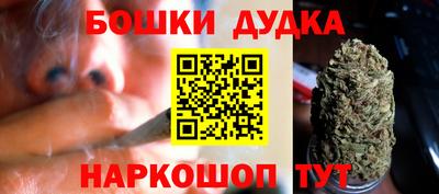 индика Кунгур