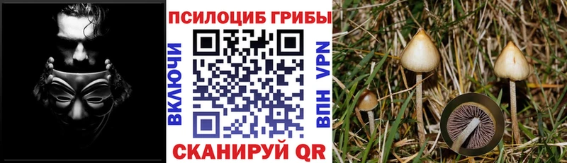 Псилоцибиновые грибы GOLDEN TEACHER  Добрянка 